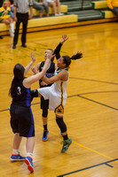 Varsity Girls Basketball - Lewis Co at Greenup Co 01-28-2016